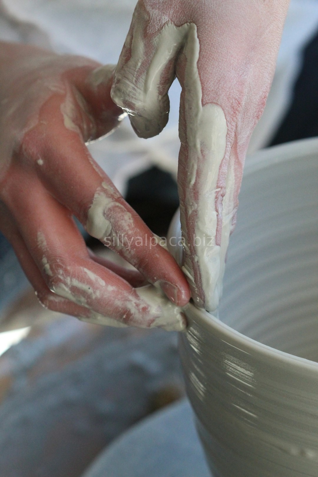 Artisan Craft