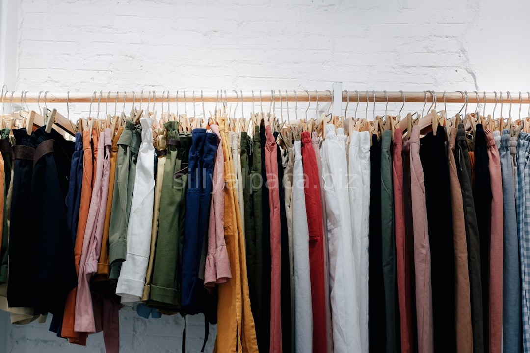 Curated Collections